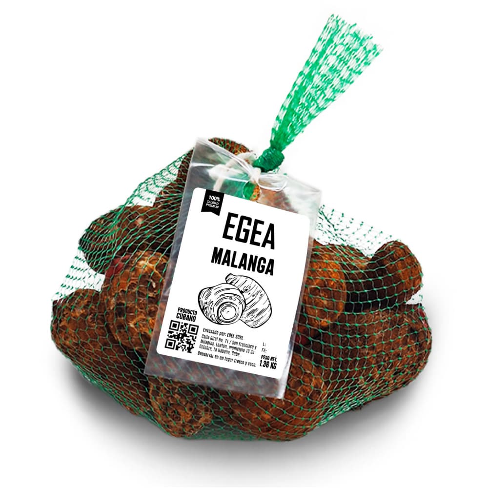 Malanga (1.36 kg / 3 lb) - Imagen 1