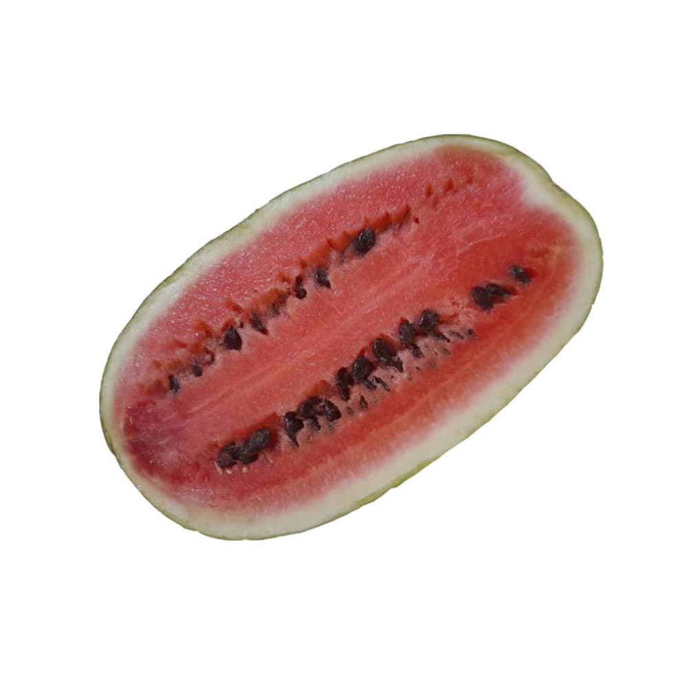 Pulpa de melón congelada ALLÁ (907 g / 2 lb) - Imagen 1