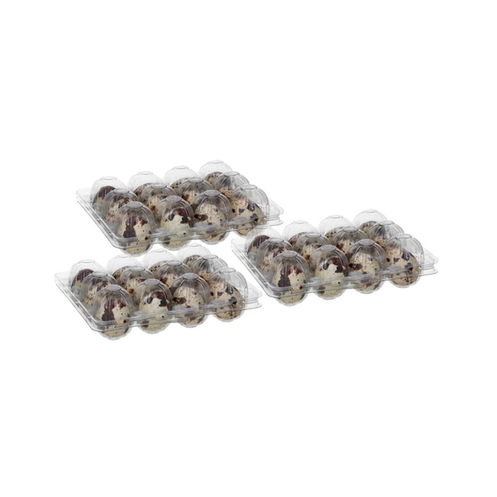 Huevos de codorniz (36 U) - Imagen 1