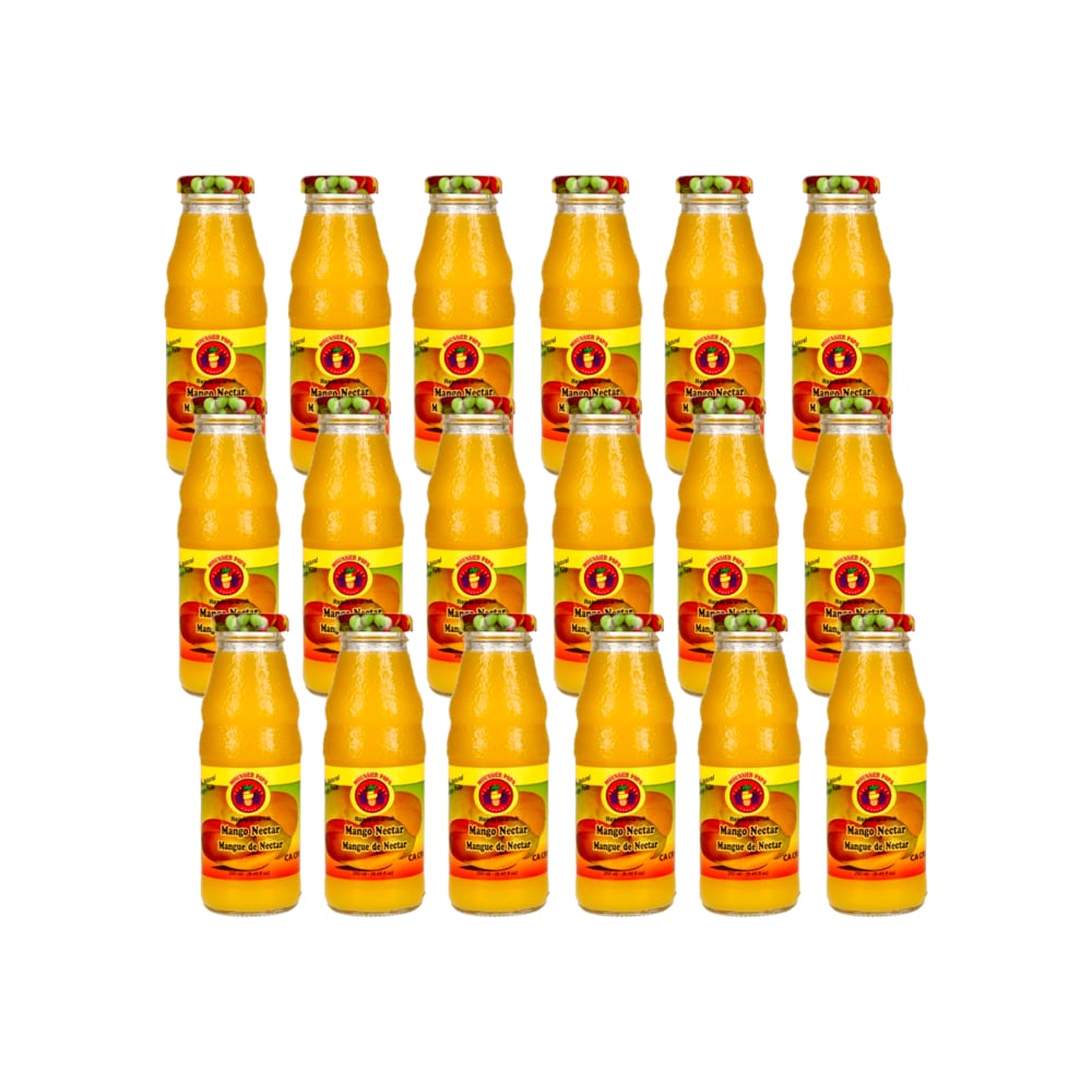 Néctar de mango Mounsieur Papa (18 x 250 ml / 8.45 fl.oz) - Imagen 1