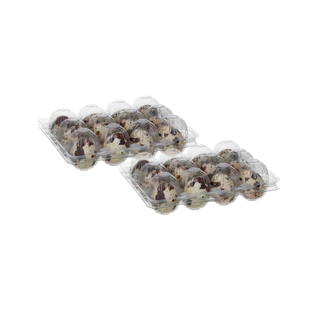 Huevos de codorniz (24 U) - Imagen 1