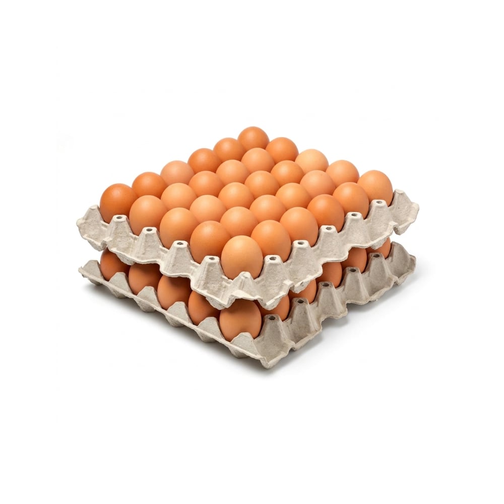 Huevo criollo orgánico e importado Peco ( 2 x 30 U) - Imagen 1