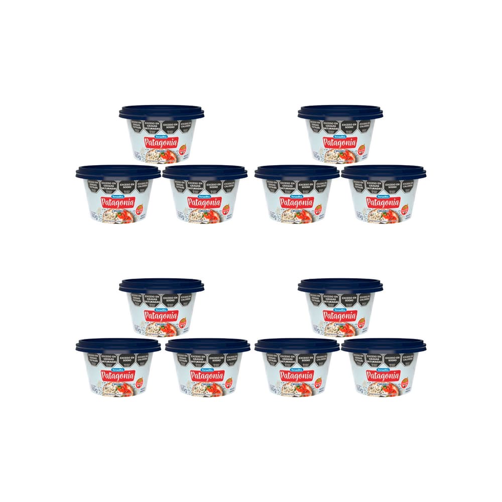Queso untable patagonia Tonadita (12 x 180 g / 6.35 oz) - Imagen 1