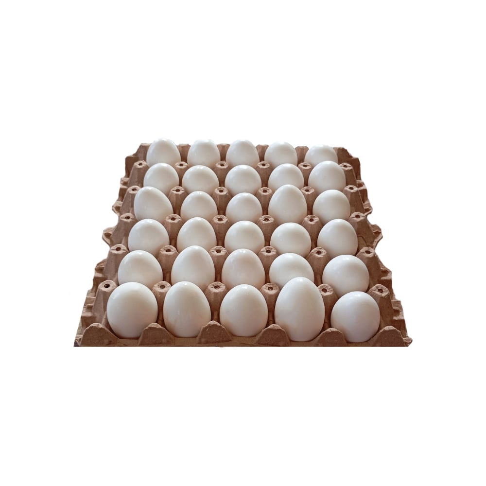 Huevo blanco orgánico (30 U) - Imagen 1