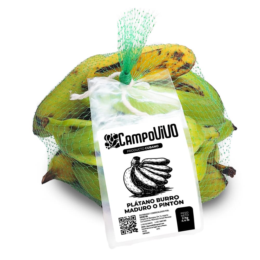 Plátano burro maduro o pintón Campo Vivo (2 kg / 4.4 lb) - Imagen 1