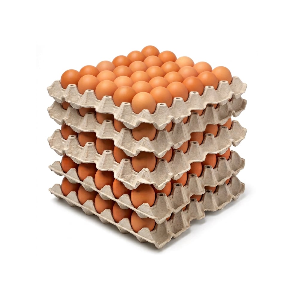 Huevo criollo orgánico e importado Peco ( 5 x 30 U) - Imagen 1