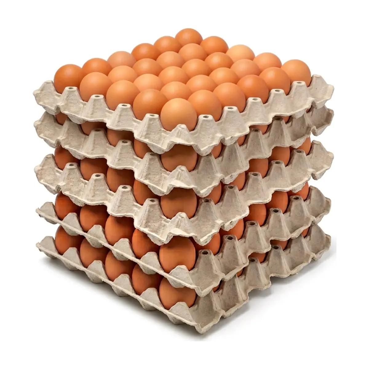 Huevo criollo orgánico e importado Peco ( 5 x 30 U)