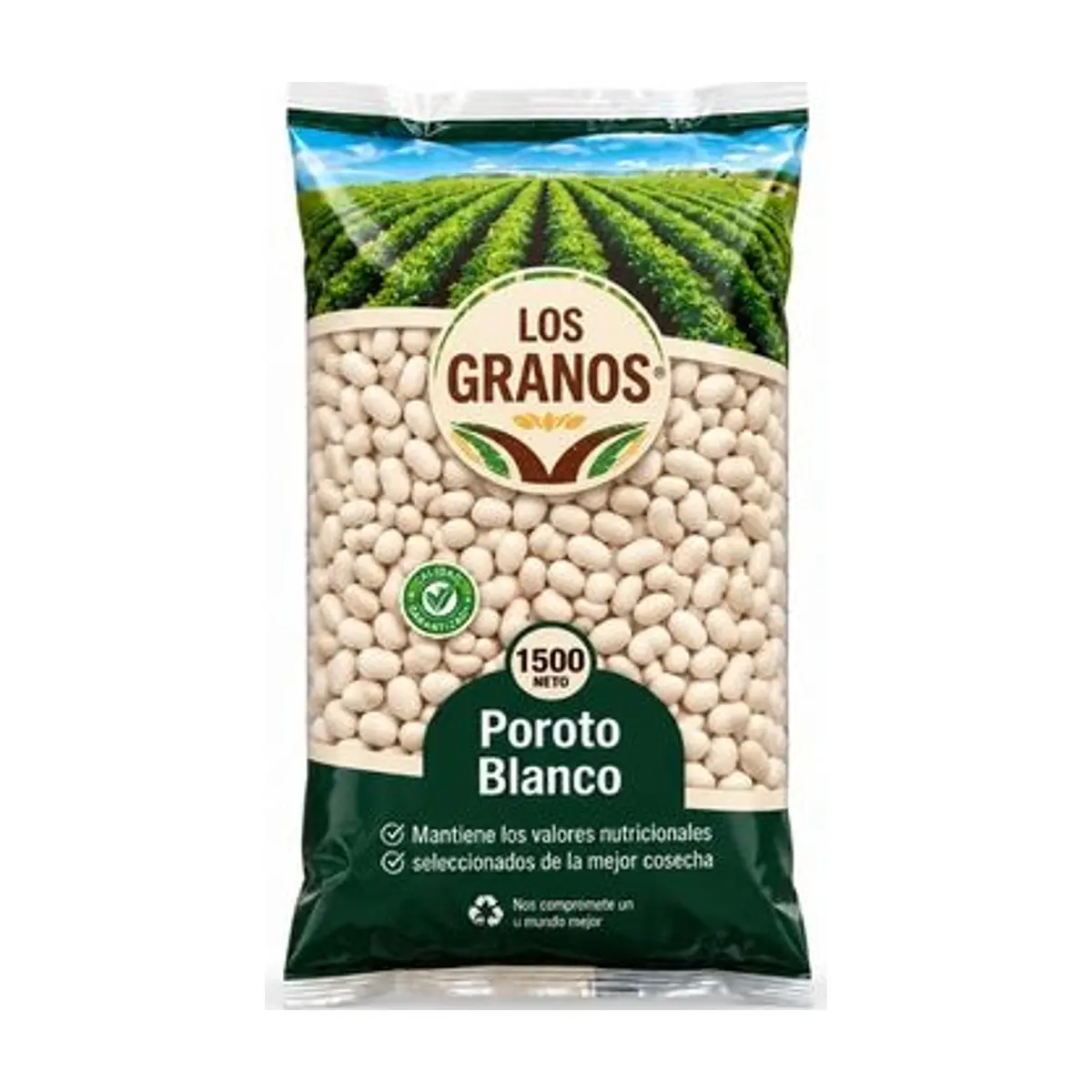 Alubias Blancas (1 kg) LOS GRANOS
