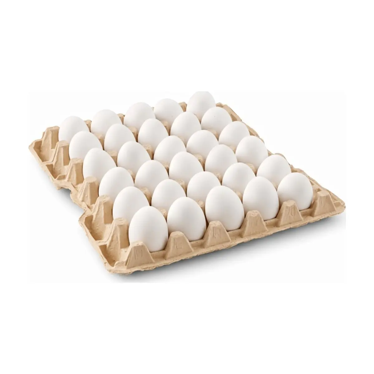 Carton de Huevos (30 u) - Imagen 1