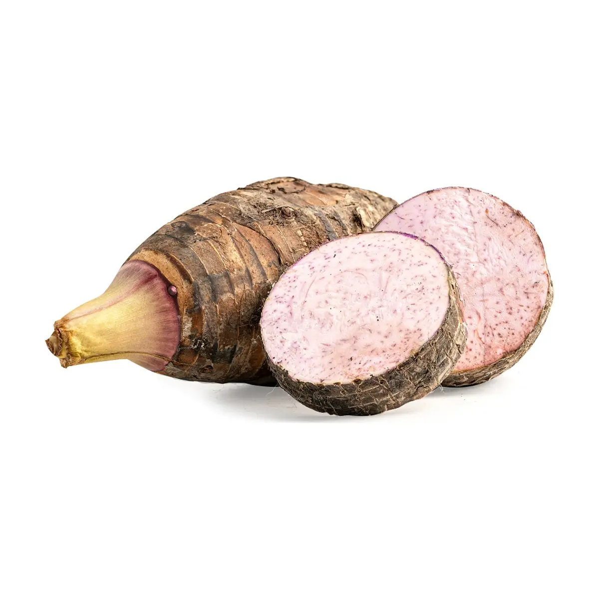 Malanga Cosecha Real (2.27 kg / 5 lb) - Thumbnail 2