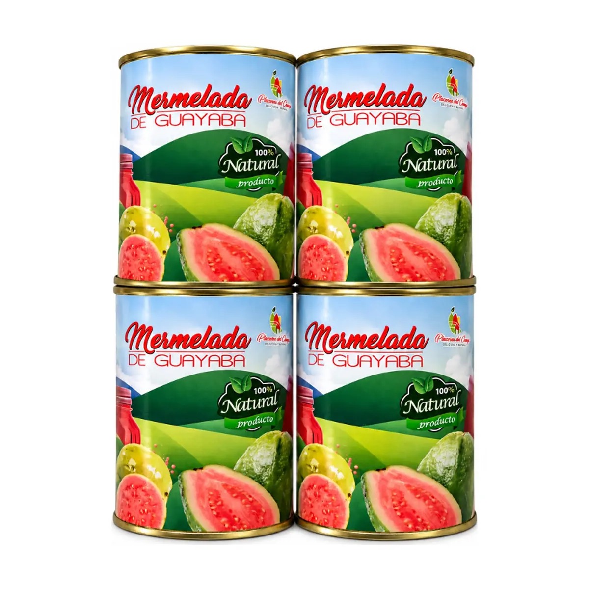 Mermelada de guayaba Placeres del Campo (4 x 460 g / 1.01 lb) - Imagen 1