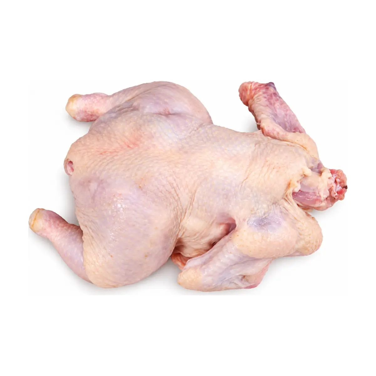 Pollo entero MCH (1.58 kg / 3.5 lb) - Miniatura 3