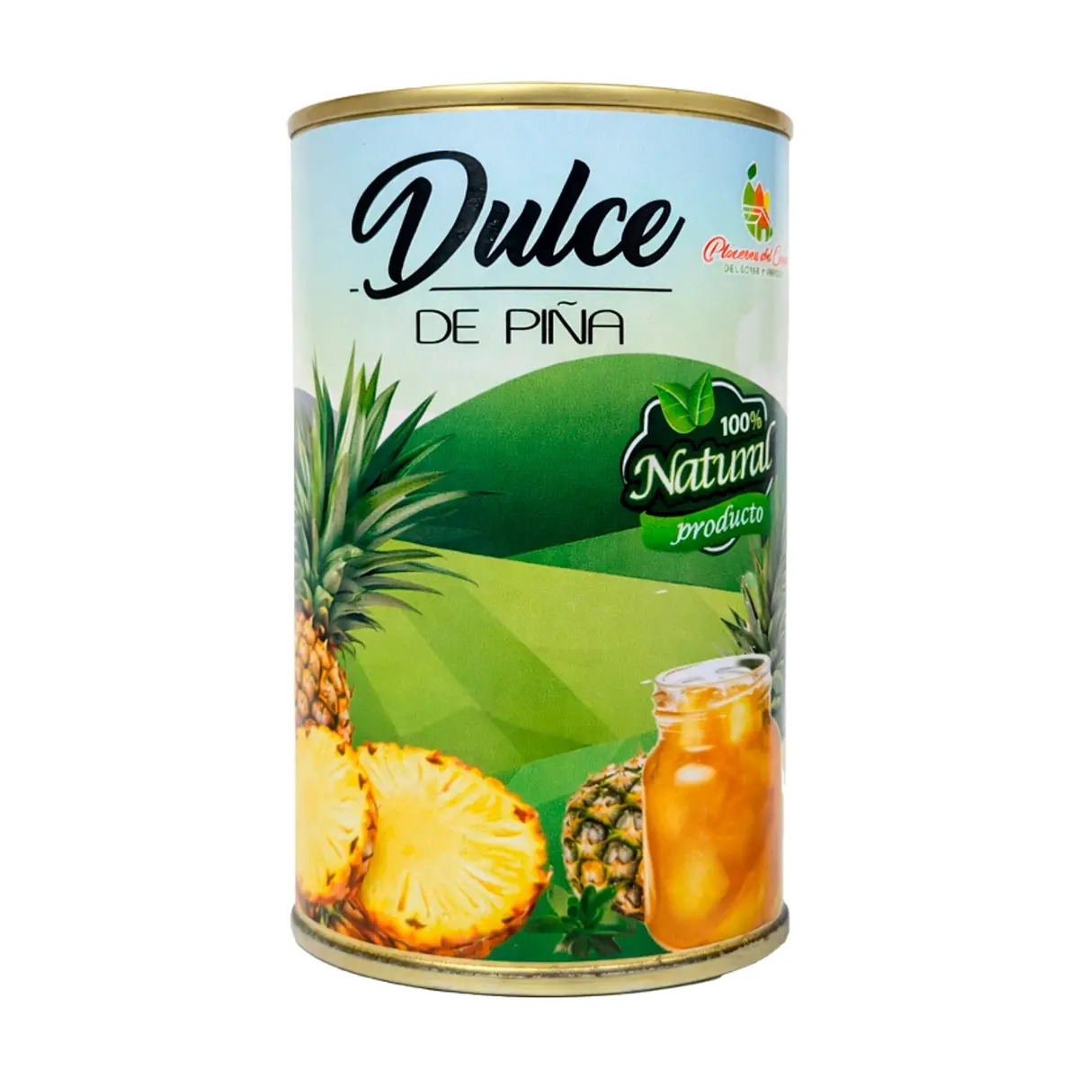 Dulce de Piña Placeres del Campo (460 g / 1.01 lb)