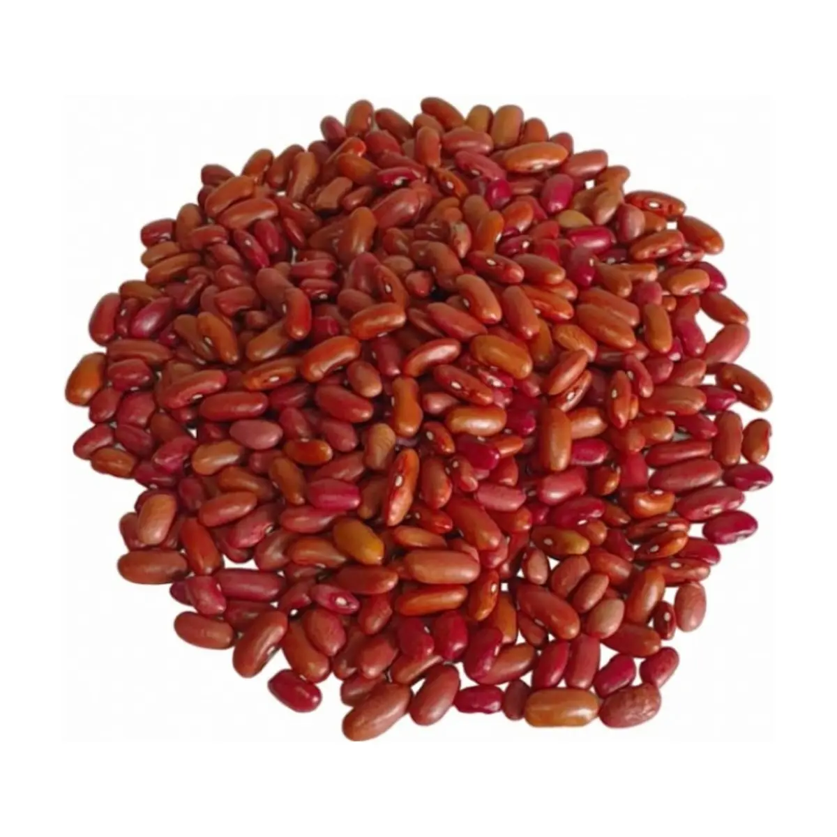 Frijoles colorados Peco (453.5 g / 1 lb)