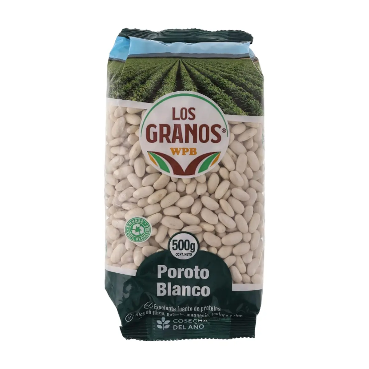 Poroto blanco -frijol- Los Granos (500 g / 1.1 lb)