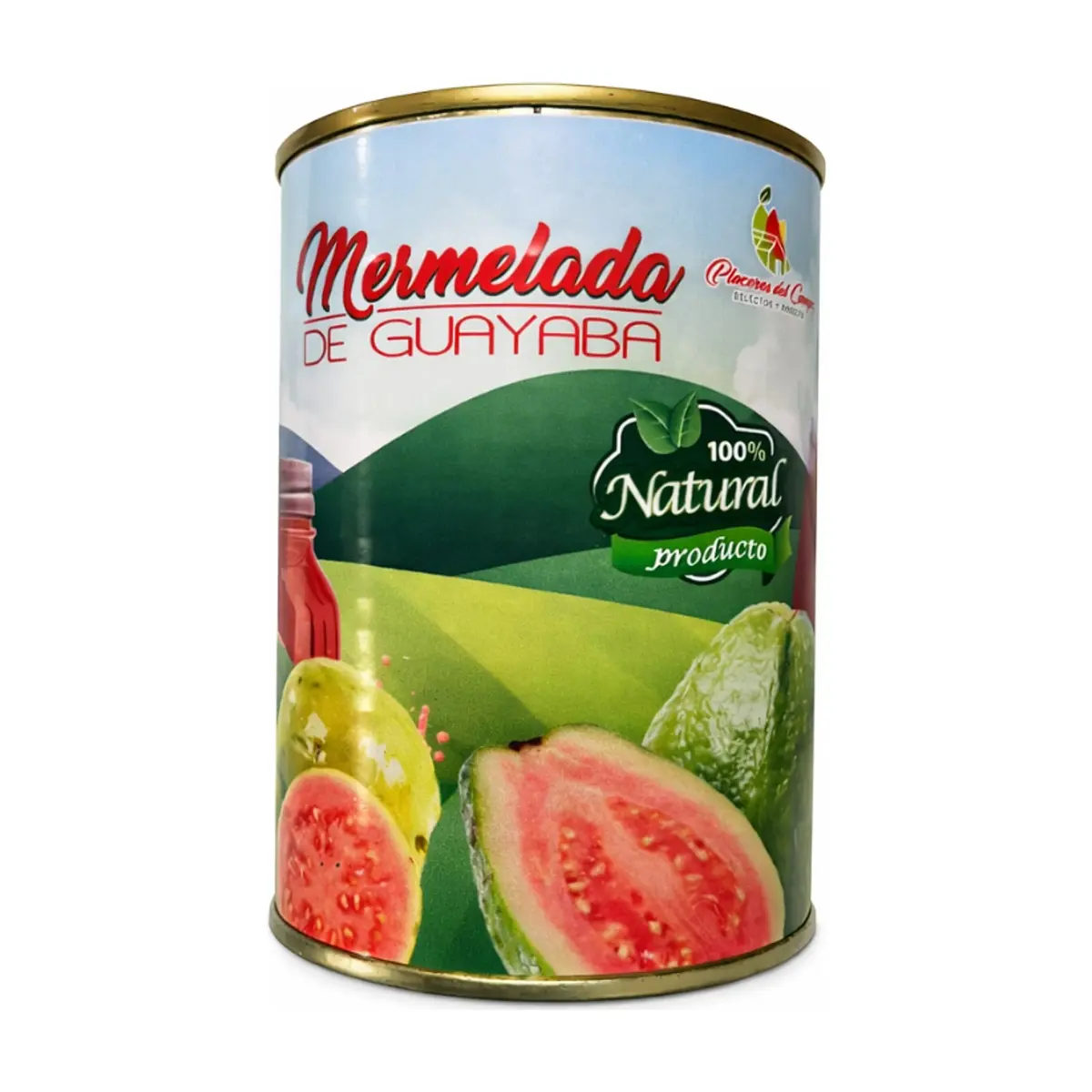Mermelada de guayaba Placeres del Campo (460 g / 1.01 lb)