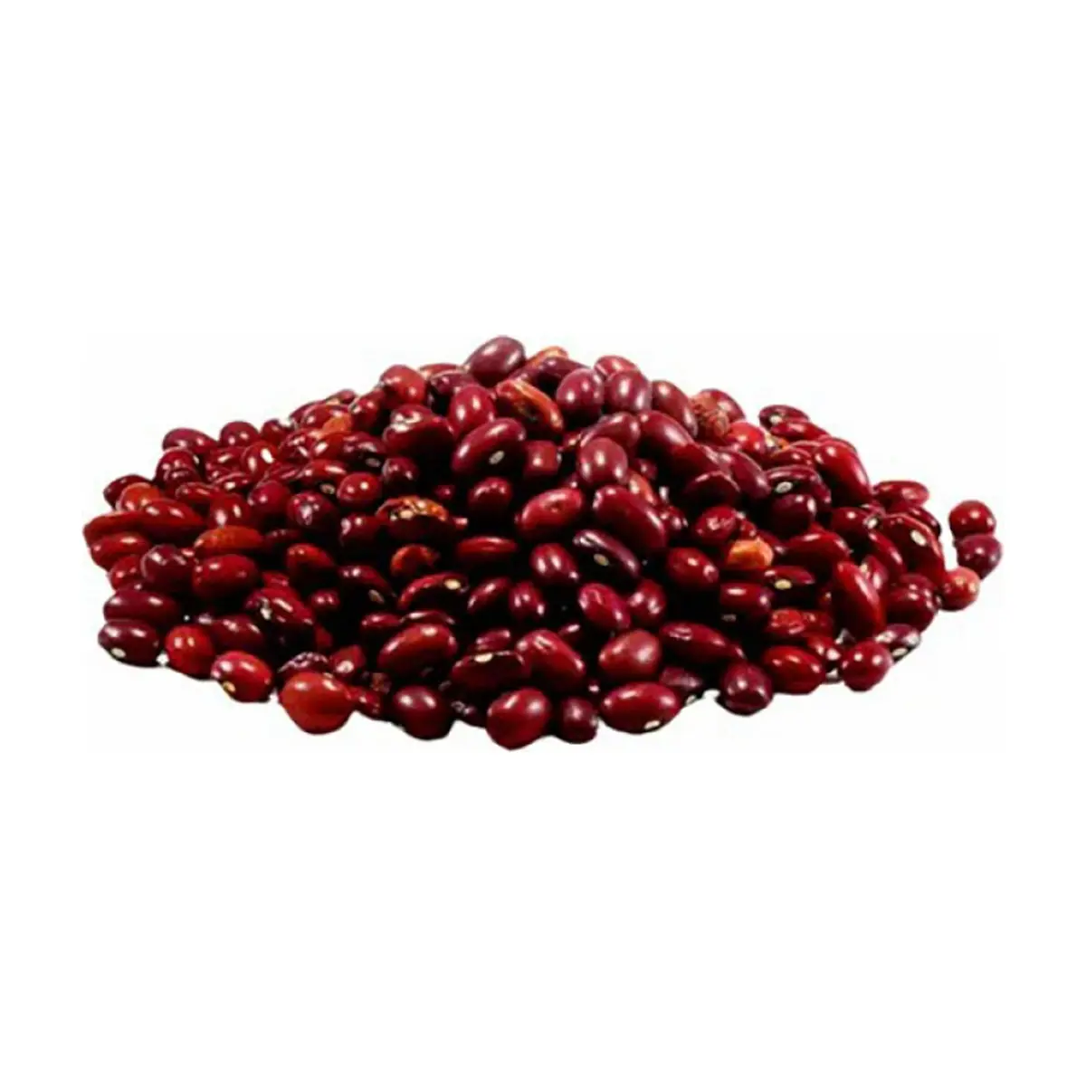 Frijoles colorados Campo Vivo (2 x 454 g / 1 lb) - Thumbnail 2
