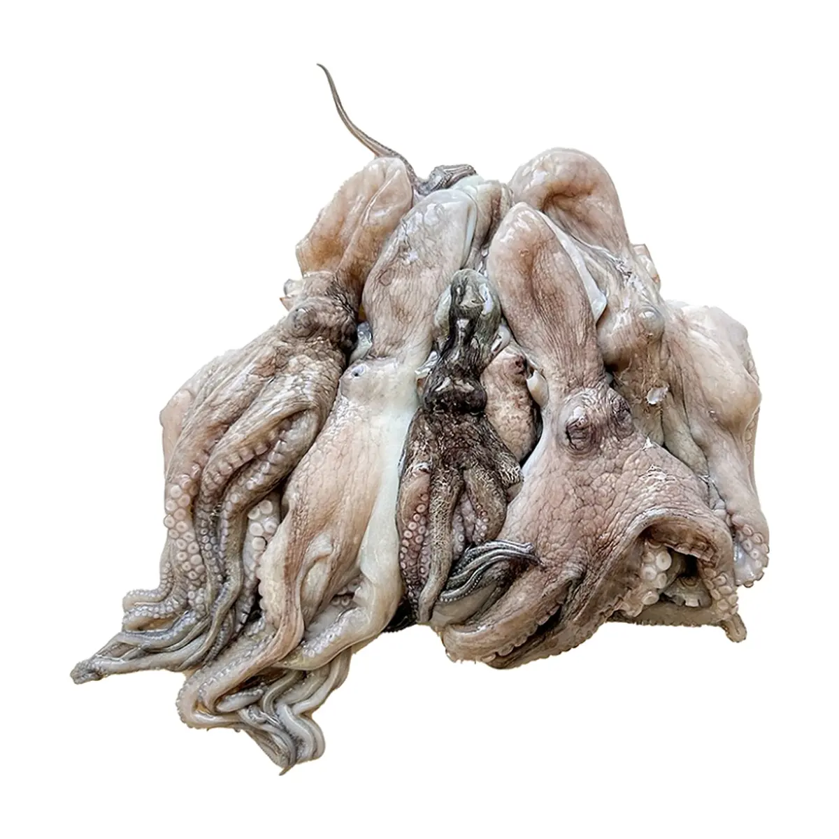 Pulpo limpio Pescaito (454 g / 1 lb)