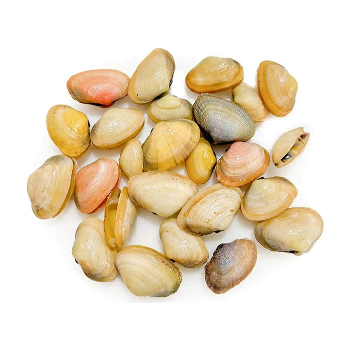 Almejas Pescaito (454 g / 1 lb)