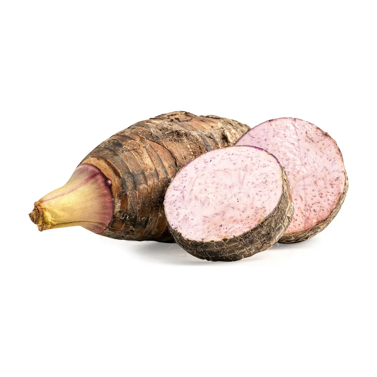 Malanga Cosecha Real (4.53 kg / 10 lb) - Thumbnail 2