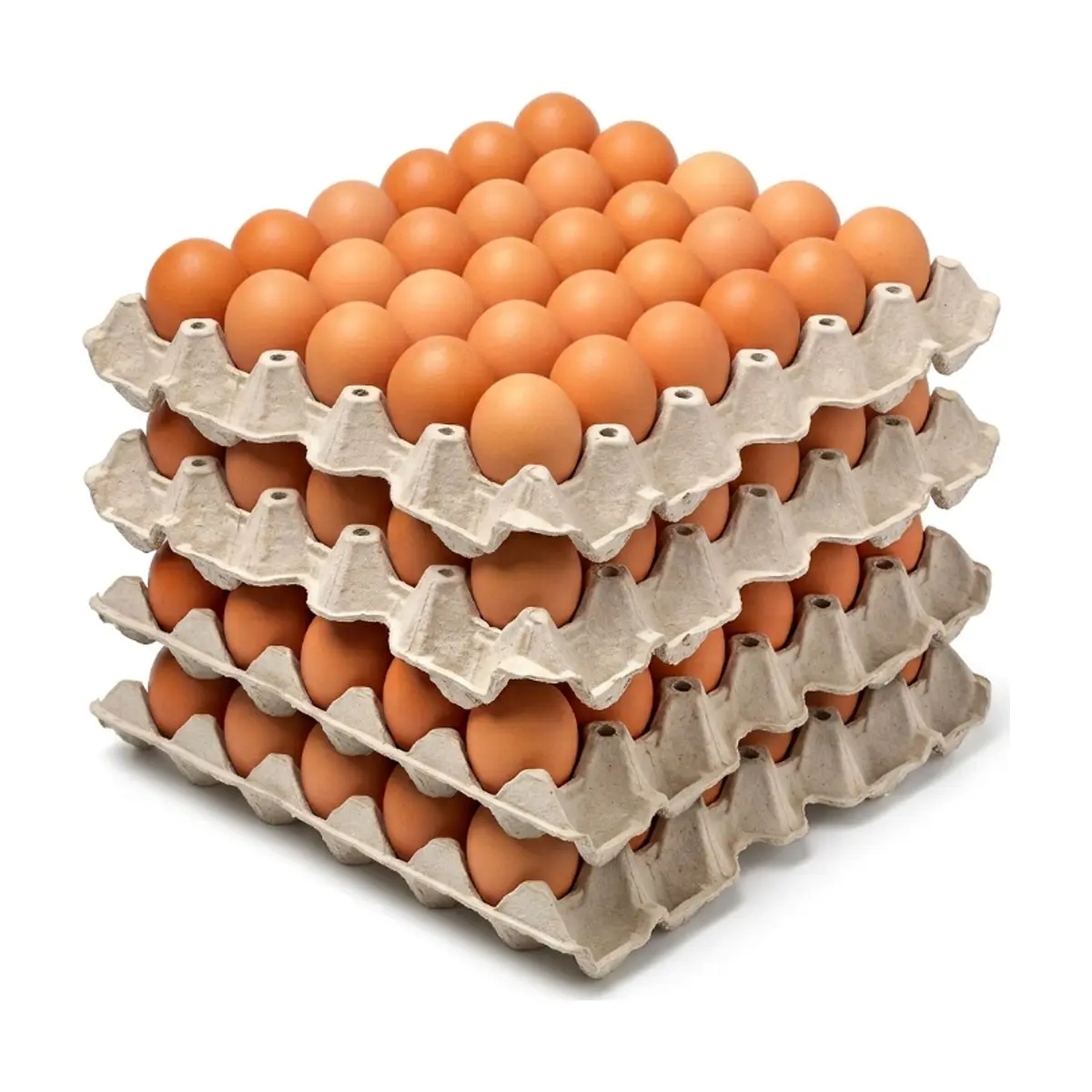Huevo criollo orgánico e importado Peco ( 4 x 30 U)