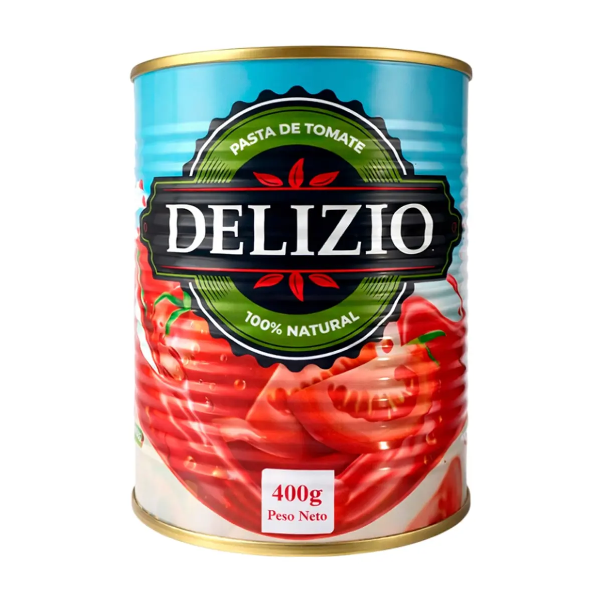 Pasta de Tomate Delizio (400 g / 14.1 oz)