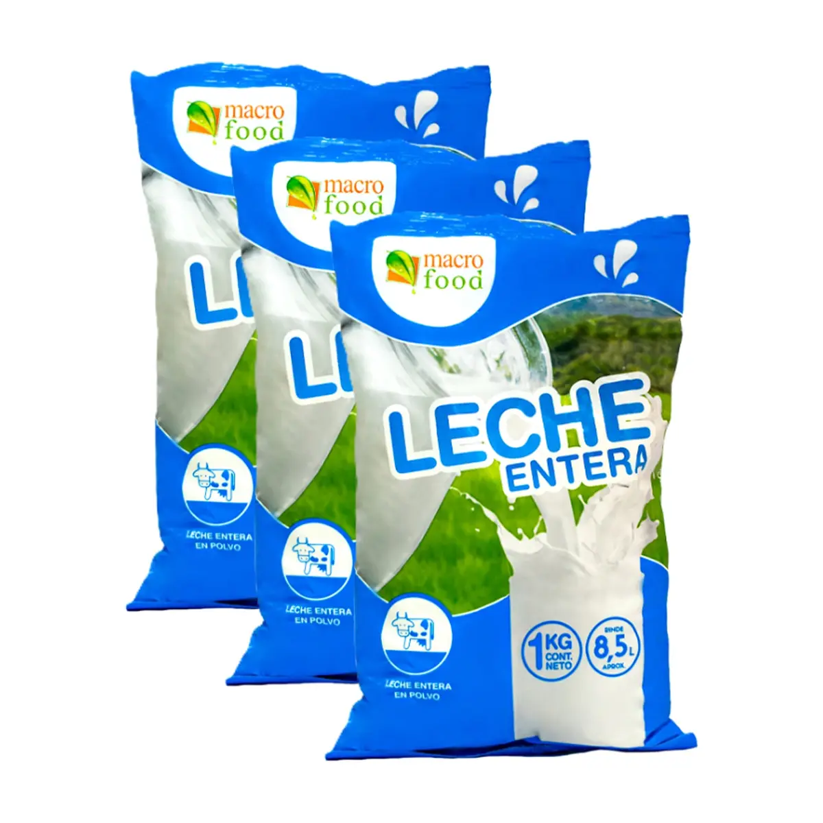 Leche en polvo (3 x 1 Kg)