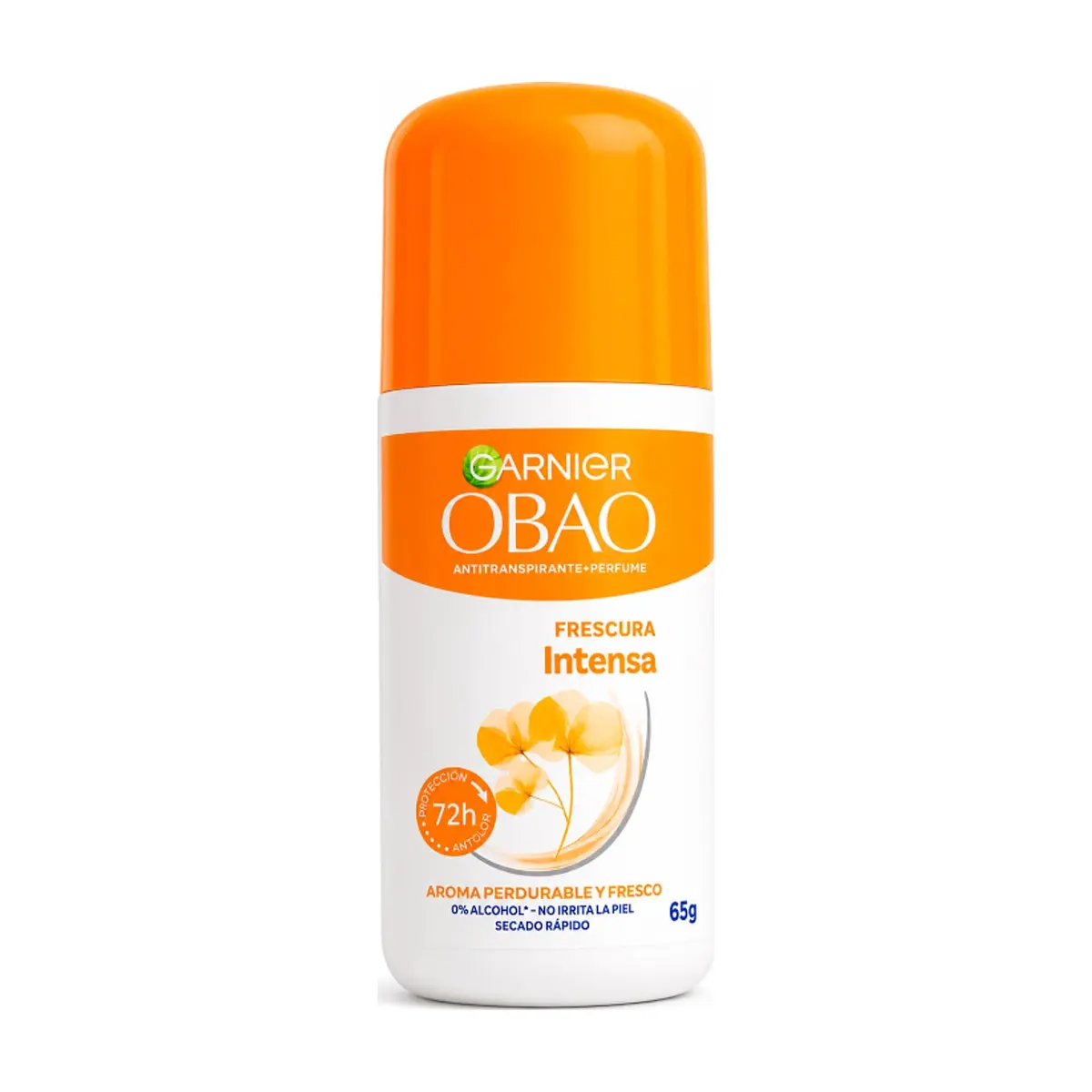 Desodorante antitranspirante frescura intensa 72 H Obao Garnier (65 g / 2.29 oz) - Imagen 1