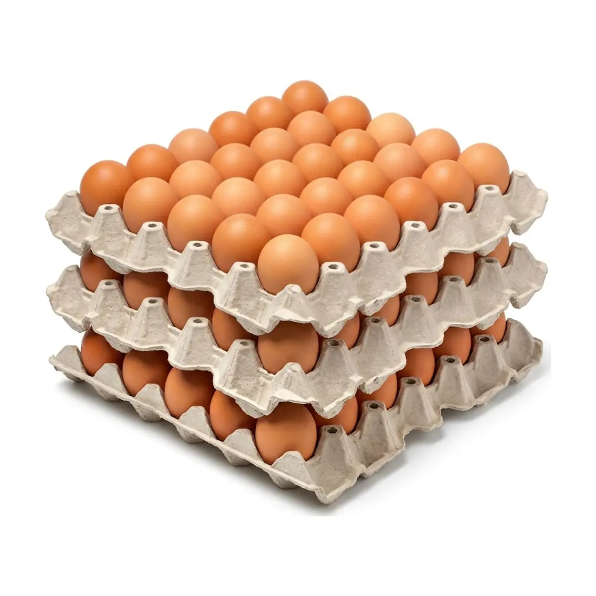 Huevo criollo orgánico e importado Peco ( 3 x 30 U)