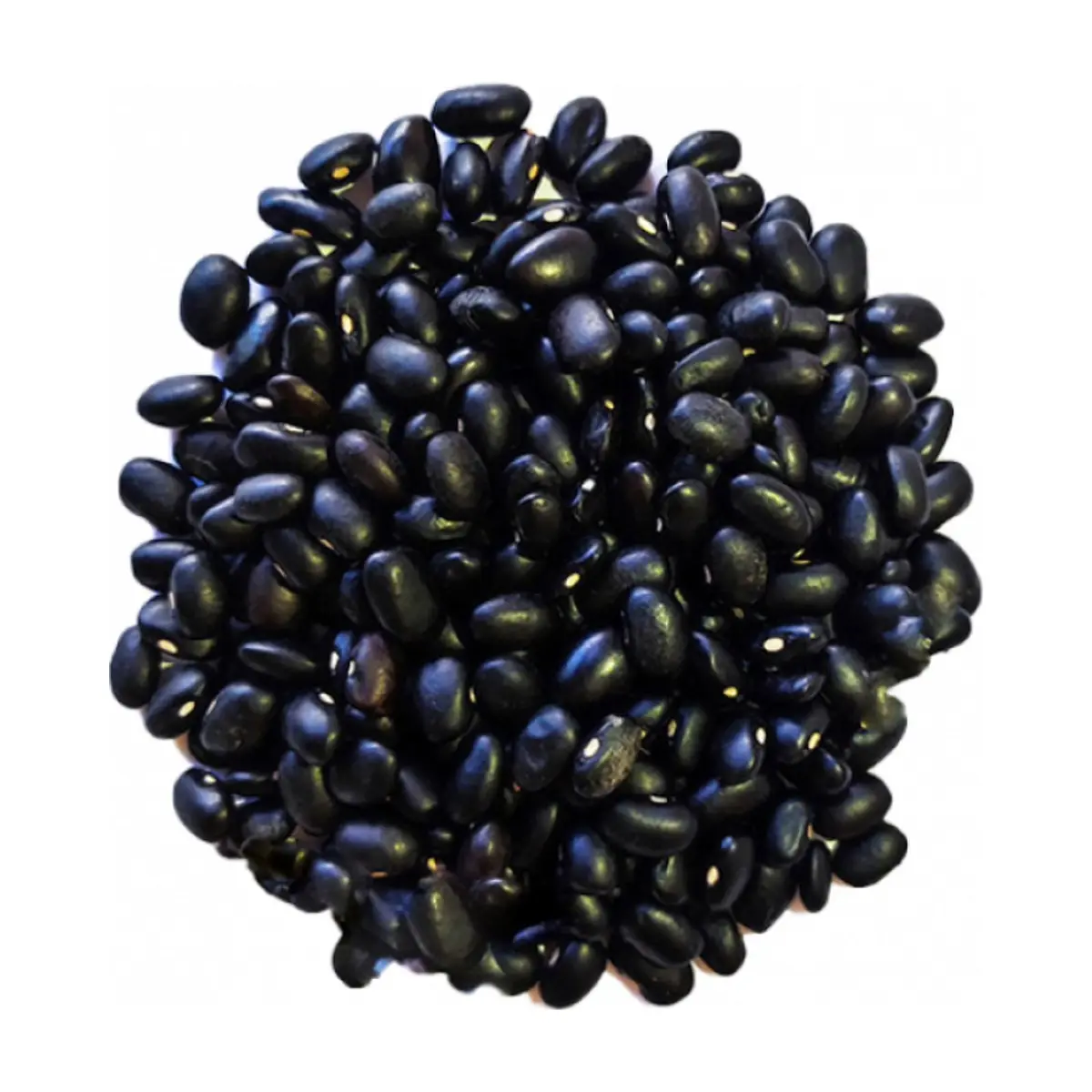 Frijoles negros Campo Vivo (1.5 kg / 3.3 lb) - Thumbnail 2