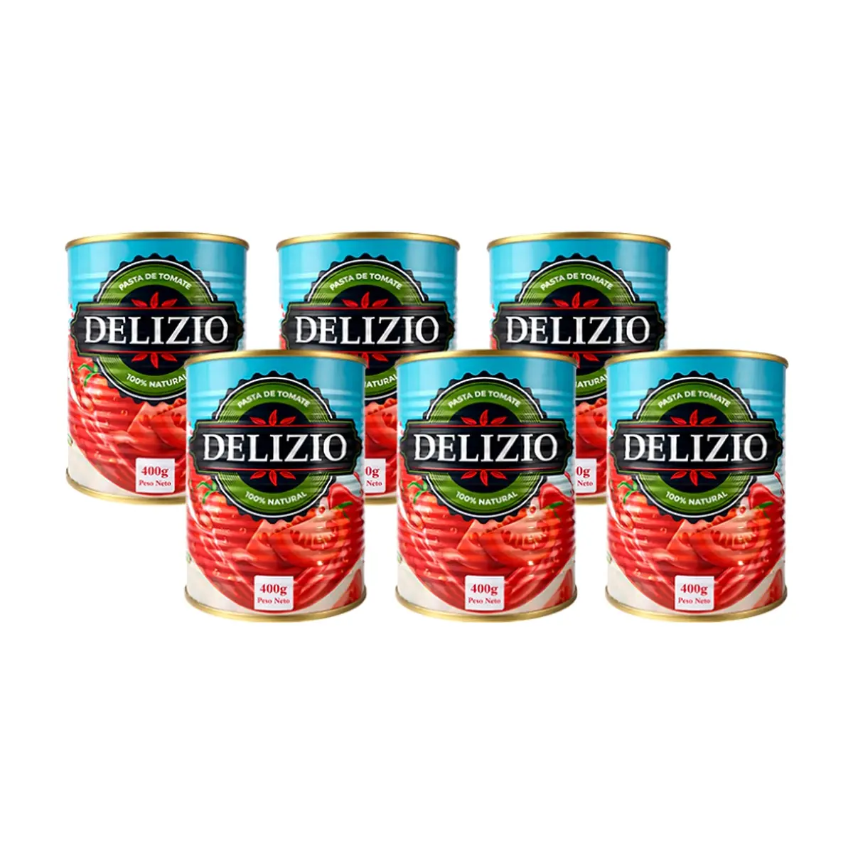 Pasta de Tomate Delizio (6 X 400 g / 14.1 oz)