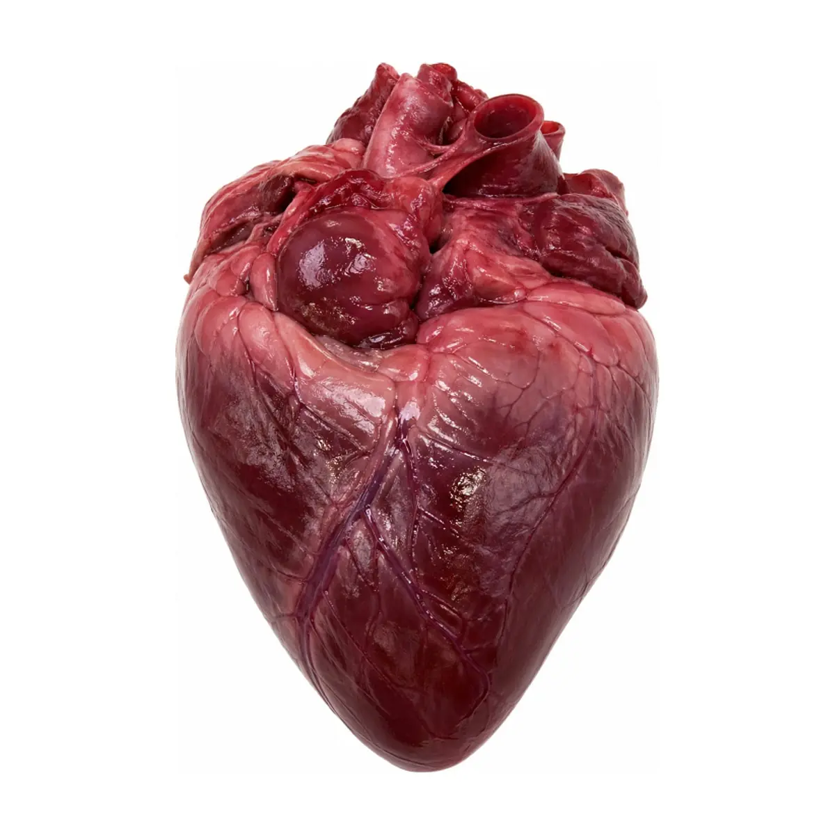 Corazón de cerdo Super Yu (1 kg / 2.2 lb) - Miniatura 1
