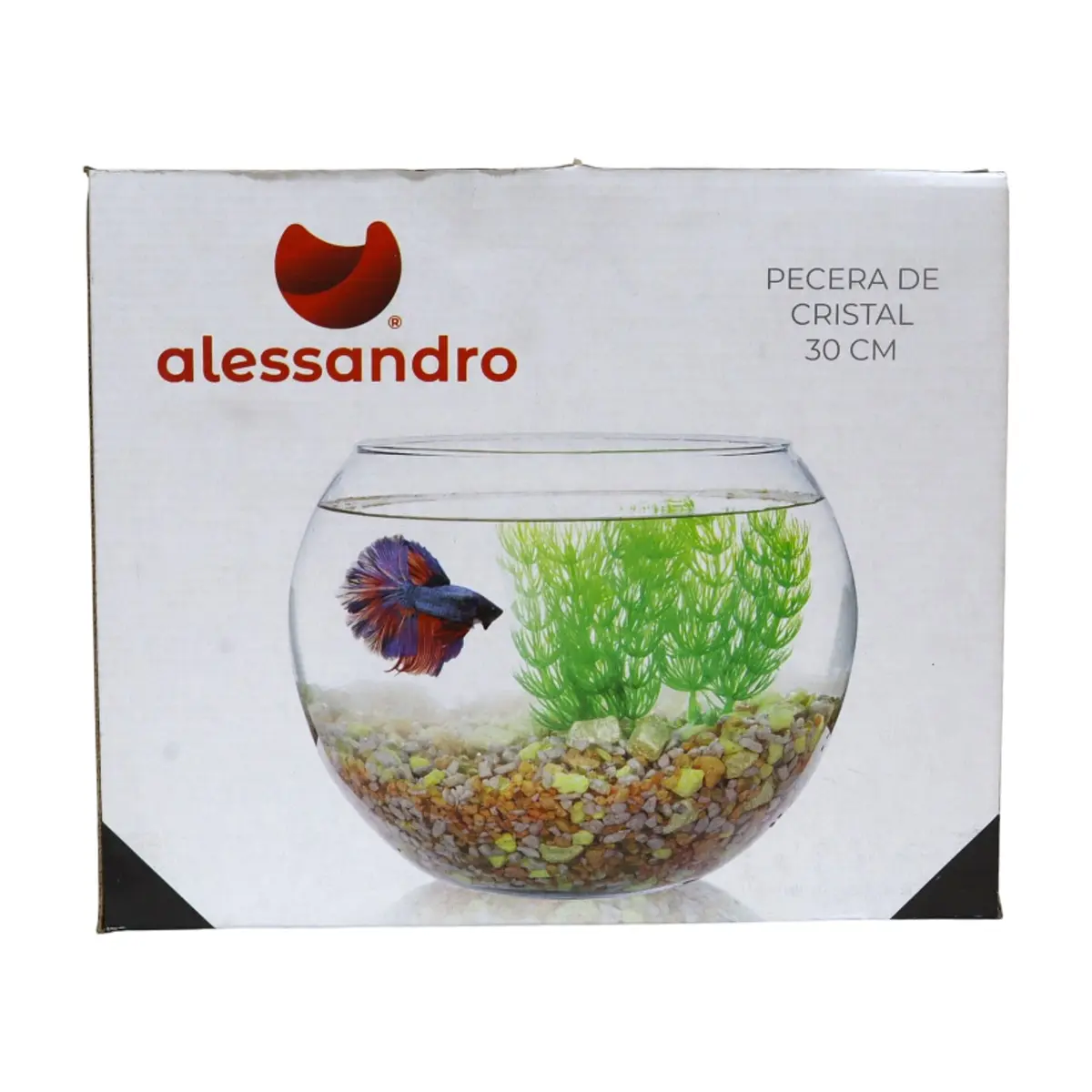 Pecera de cristal 30 cm Alessandro - Thumbnail 3