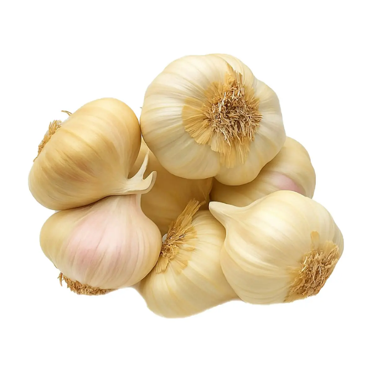 Ajo en cabeza ALLÁ (400 g / 14.1 oz)