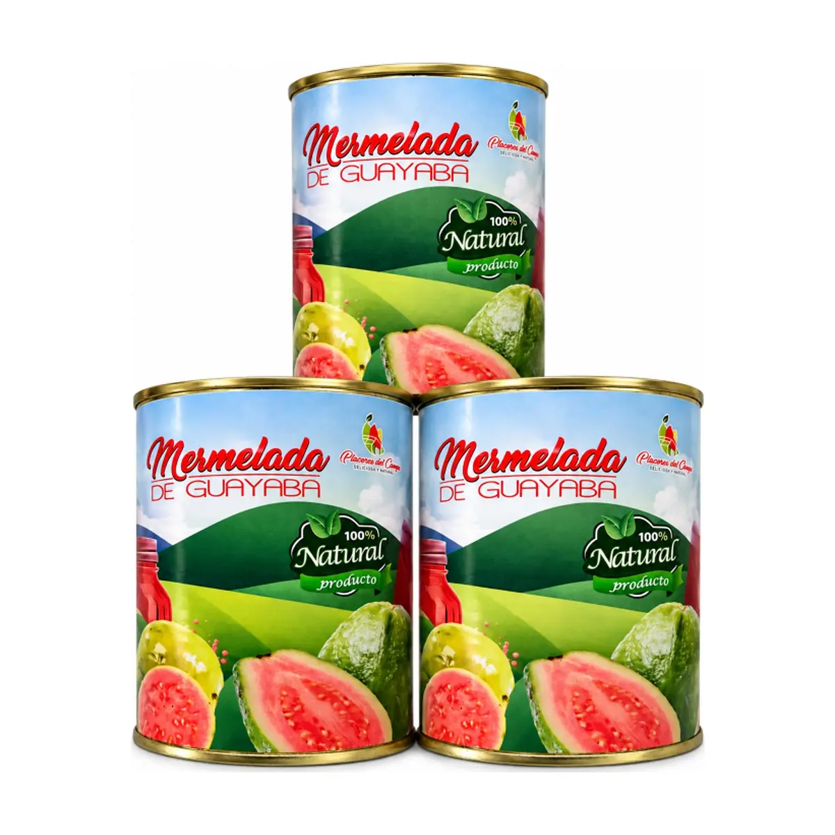 Mermelada de guayaba Placeres del Campo (3 x 460 g / 1.01 lb) - Imagen 1