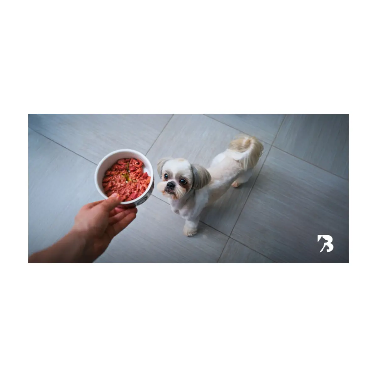 Alimento para perro adulto elaborado 100% a base de res Multisell (1.0 kg / 2.2 lb) - Thumbnail 5