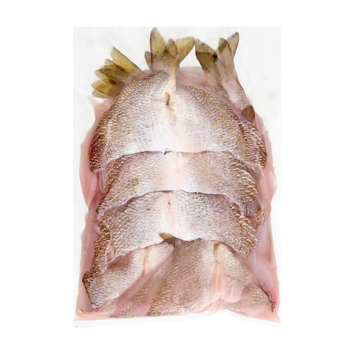 Minuta de pescado Ilé (1 kg / 2.2 lb) - Miniatura 4
