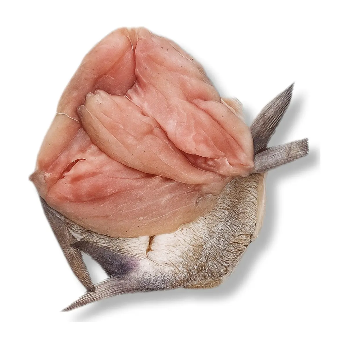 Minuta de pescado mojarra La Finca (454 g / 1 lb)