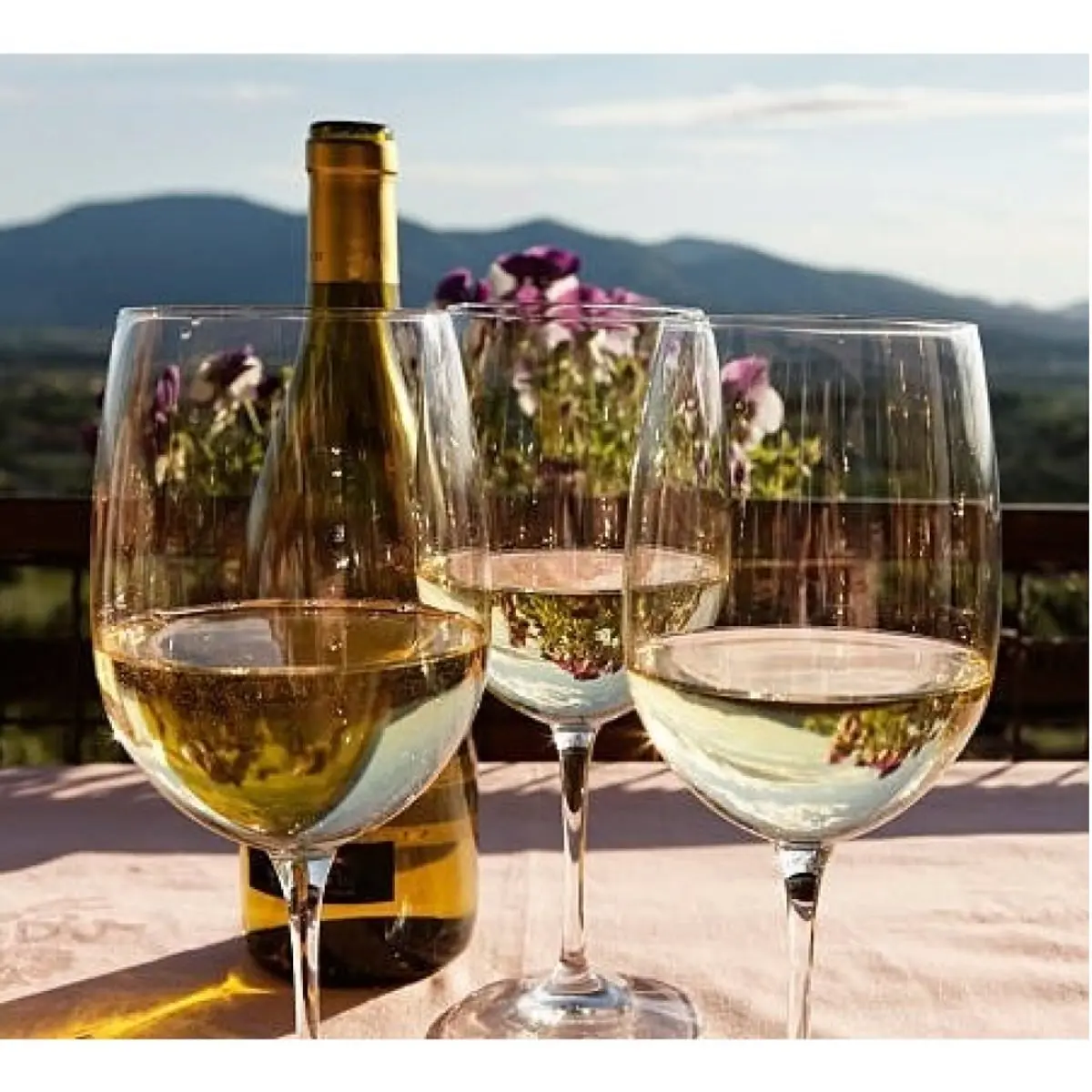 Vino blanco chardonnay Frontera (750 ml) - Thumbnail 4
