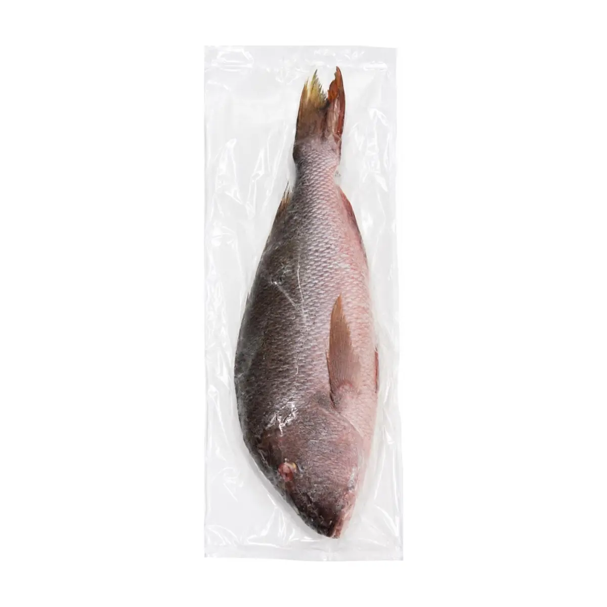 Pargo congelado Pruébalo (2 kg / 4.4 lb) - Thumbnail 2