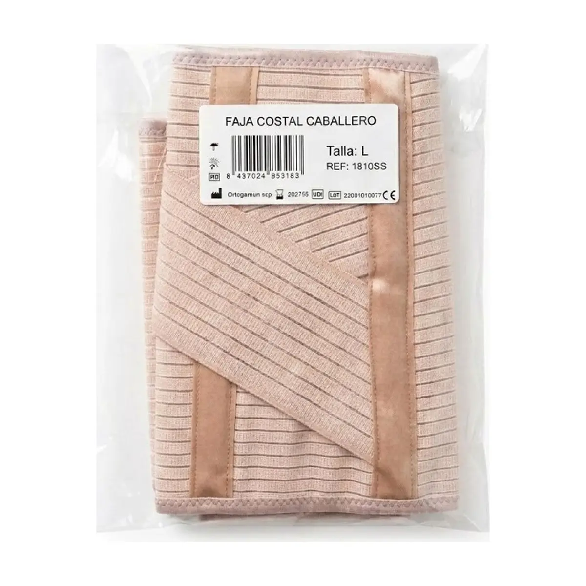 Faja Costal Caballero Talla L