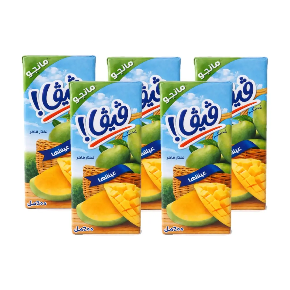 Néctar de Mango Viva (5 x 200 ml)