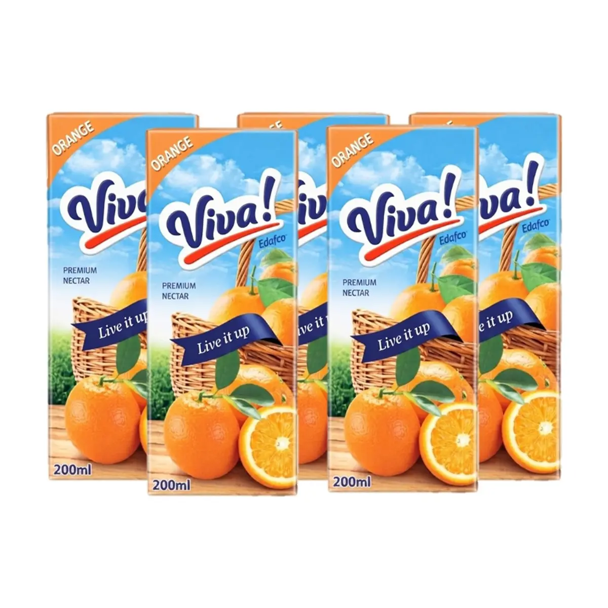 Néctar de naranja Viva (5 x 200 ml)