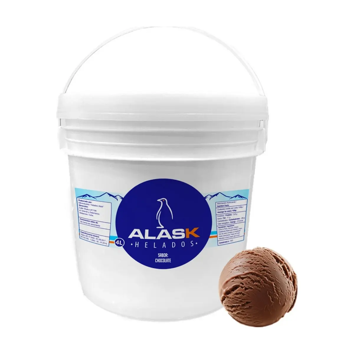 Helado de chocolate Alask (4 L)