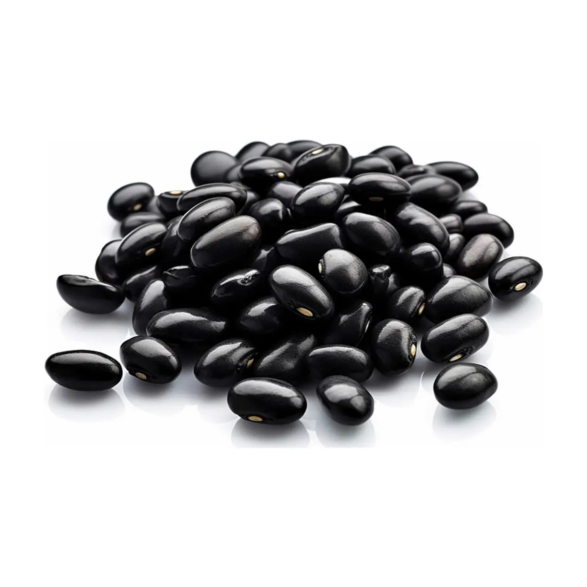 Frijoles negros Cosecha Real (4.54 kg / 10 lb) - Thumbnail 2
