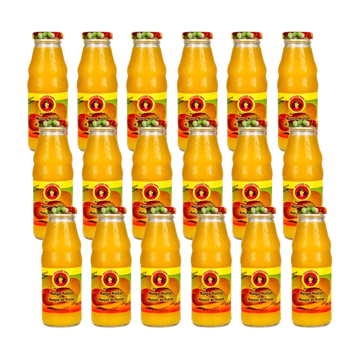 Néctar de mango Mounsieur Papa (18 x 250 ml / 8.45 fl.oz)
