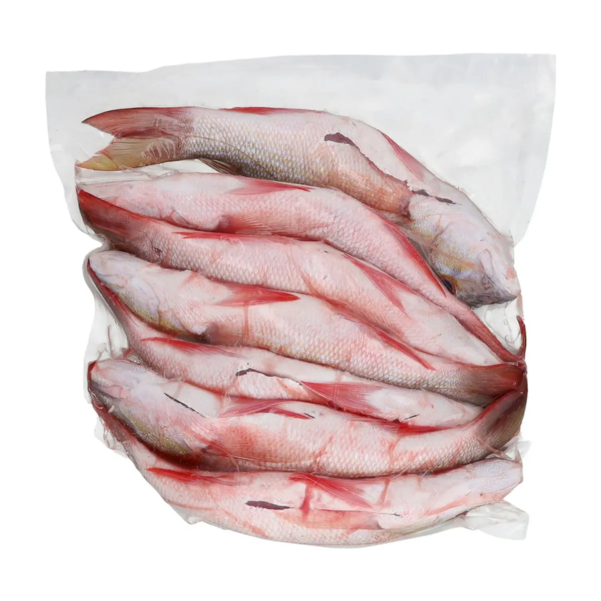 Pescado Pargo entero Ilé (3 kg / 6.6 lb) - Miniatura 3
