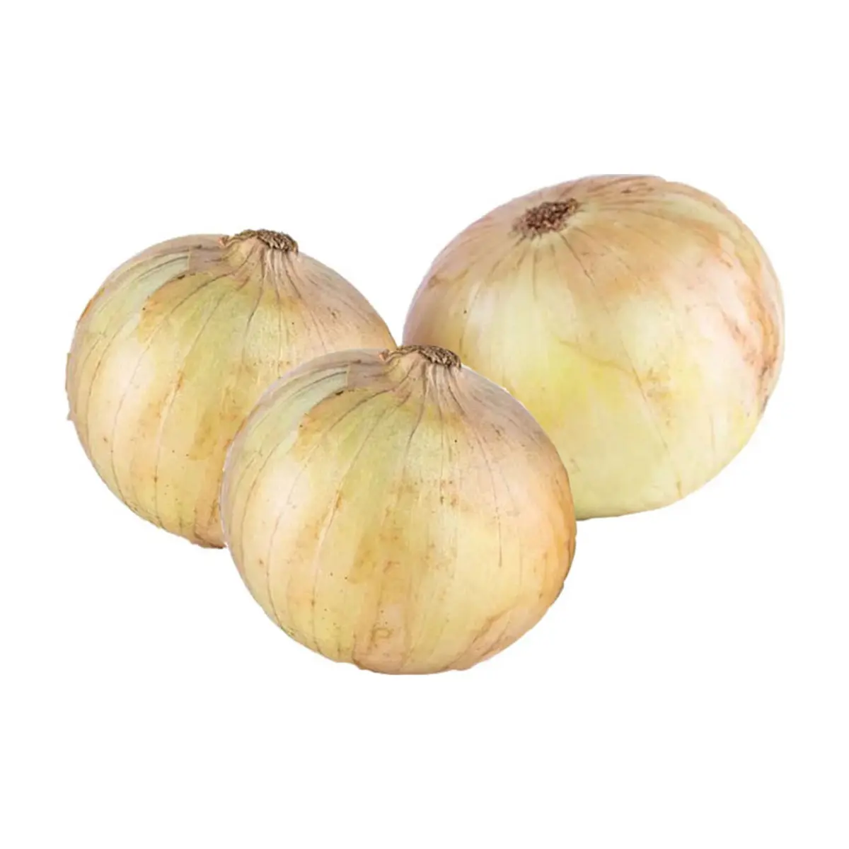 Cebolla blanca ALLÁ (500 g / 1.1 lb) - Imagen 1