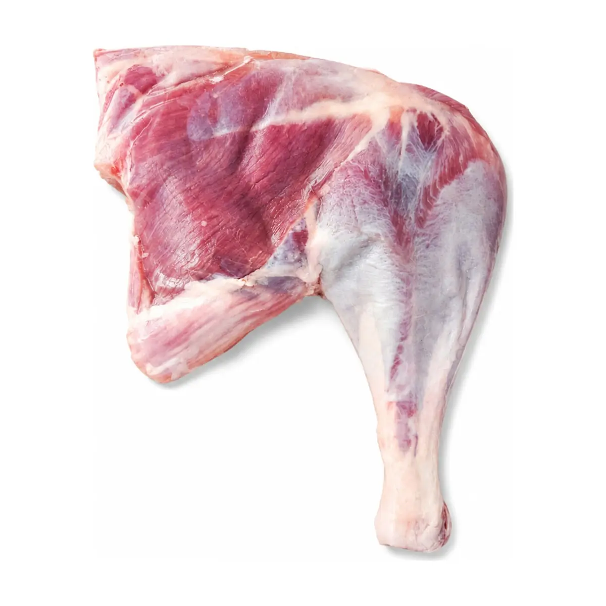 Muslo y contramuslo de pavo sin piel Diversso (1 kg / 2.2 lb) - Thumbnail 2