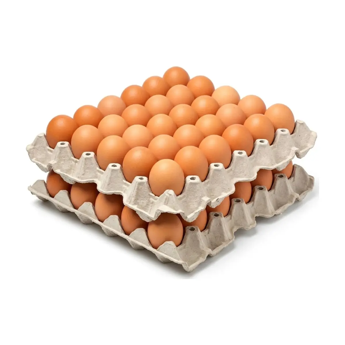 Huevo criollo orgánico e importado Peco ( 2 x 30 U)